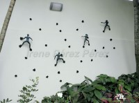 José Leonardo, Duende. Dalia y Sombra - Detalle/Detail